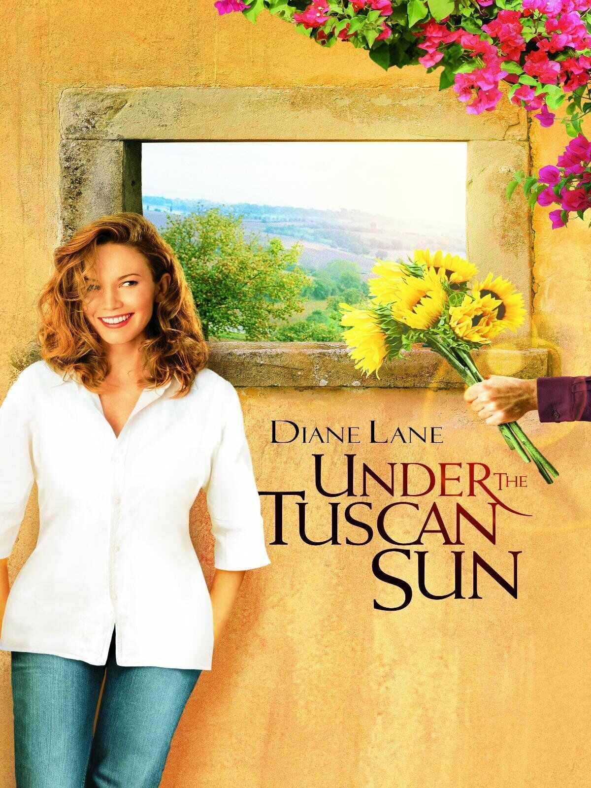 Ebay home renovations in movies under the tuscan sun movie poster and stills from movie.png