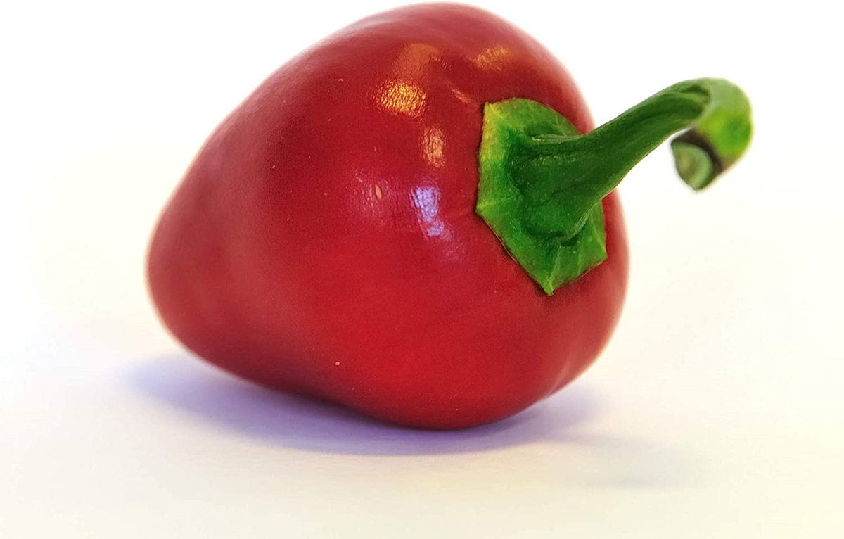 types of peppers - pimento pepper