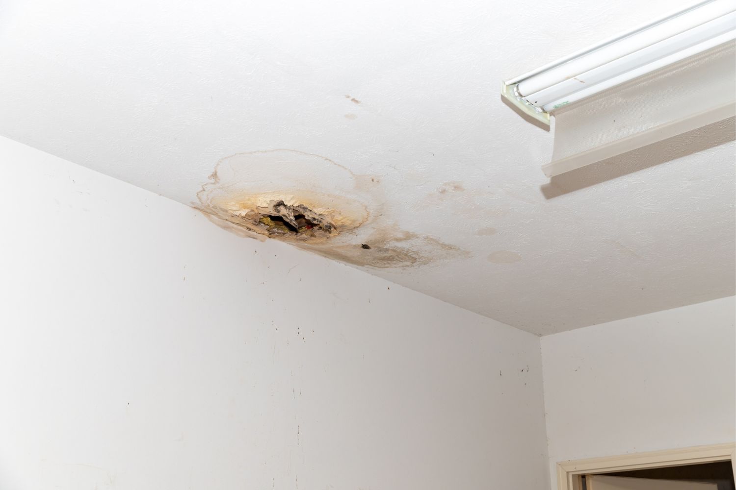 Can Florida Condo Insurance Exclude Water Damage