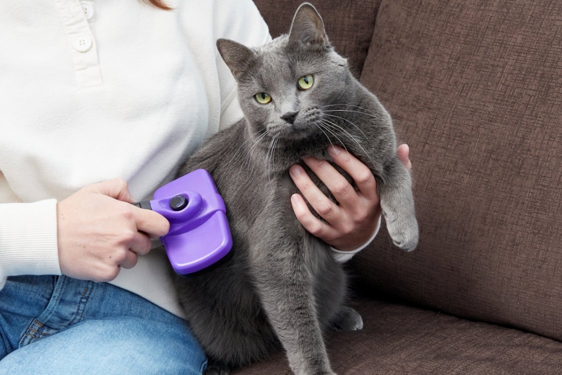 How to Get Rid of Dust: 20 Simple Home Cleaning Tips