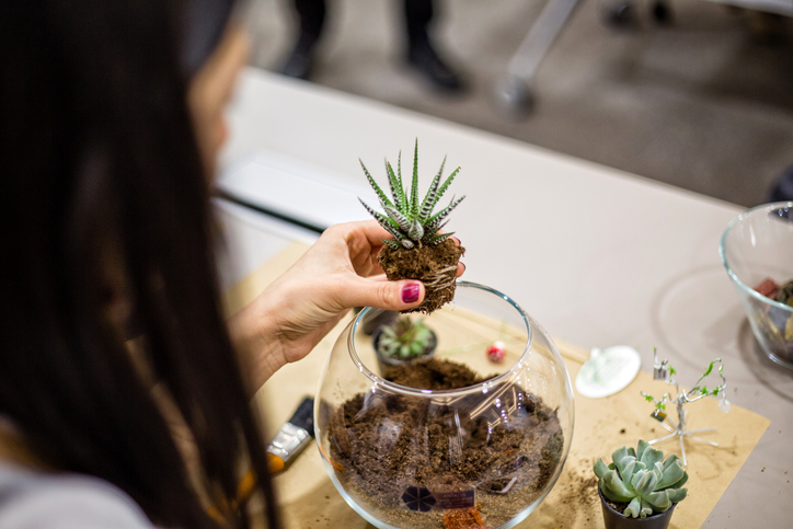 small-businesses-for-gifts-woman-diy-succulent-terrarium