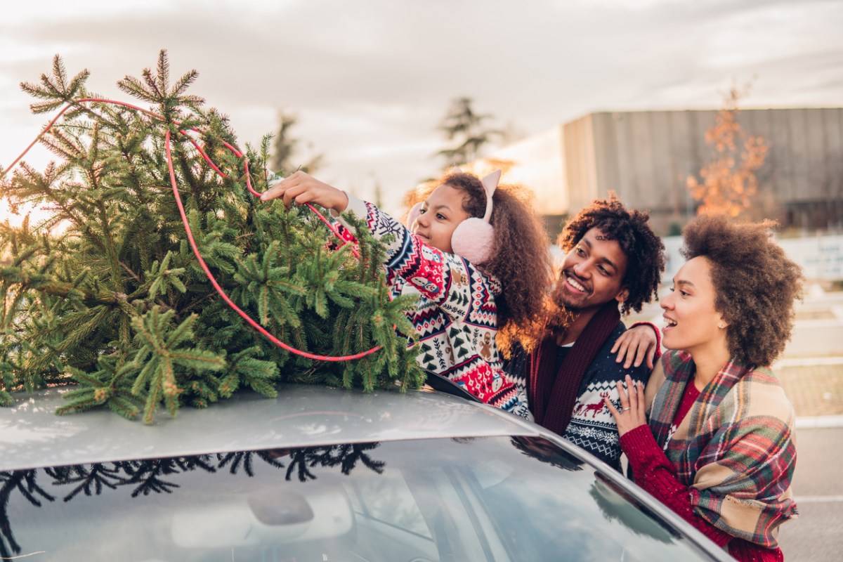iStock-1081588542 Christmas tree care family putting christmas tree on roof of car