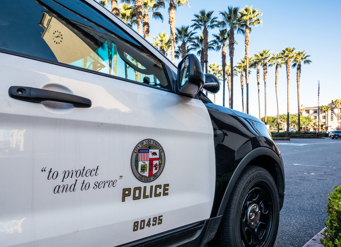 protect-christmas-decorations-from-theft-police-car