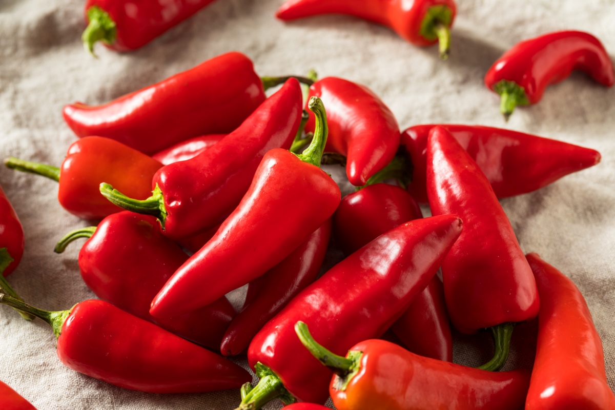 types of peppers - red fresno peppers