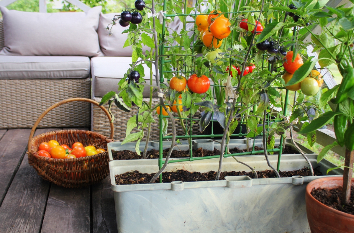 ways to save money at home - porch garden
