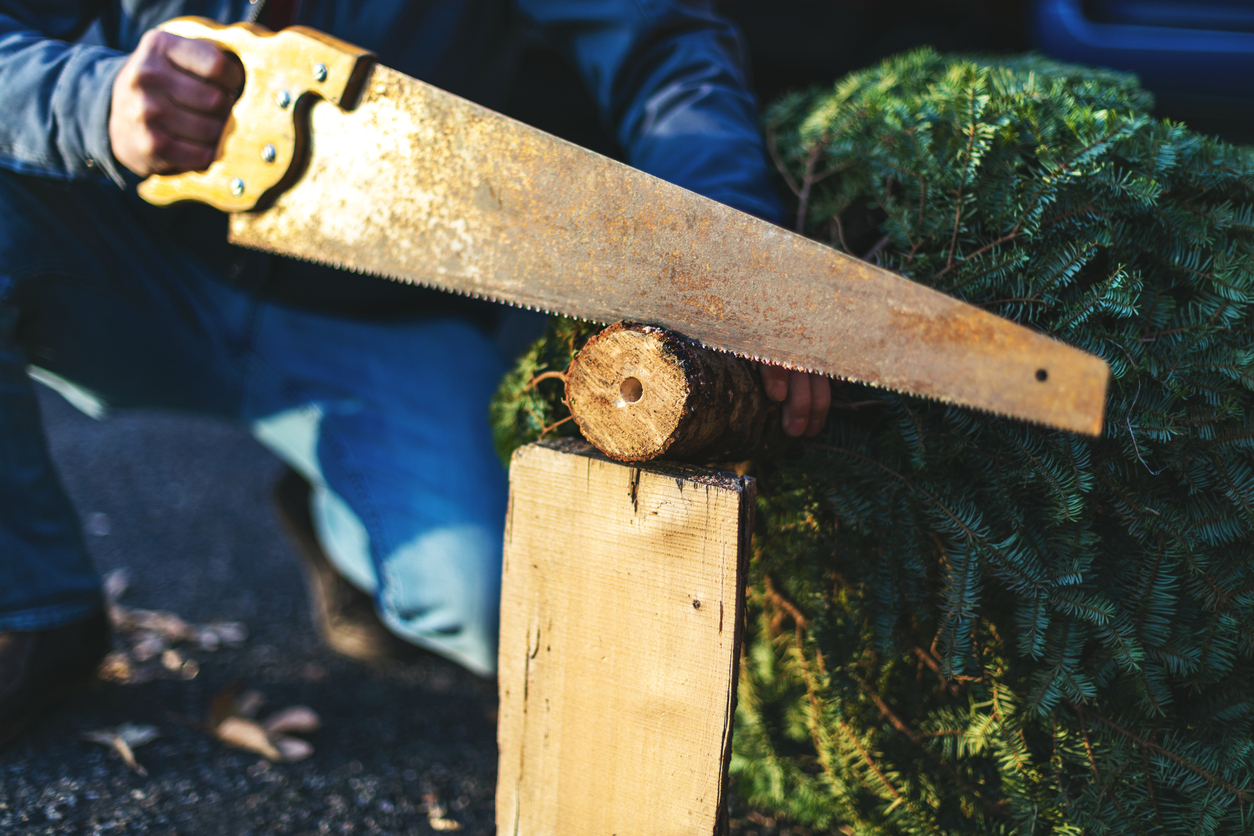 iStock-1191802918 Christmas tree care man cutting tree trunk with saw