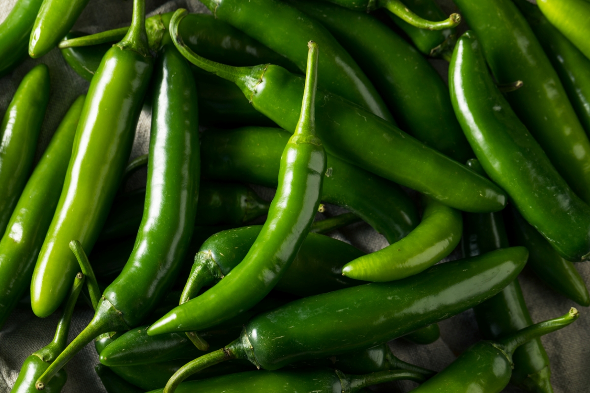 types of peppers - green serrano peppers
