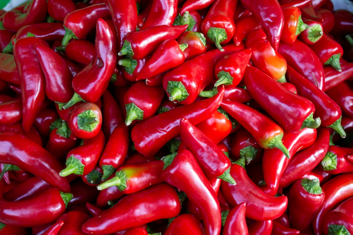 types of peppers - marasol chili pepper