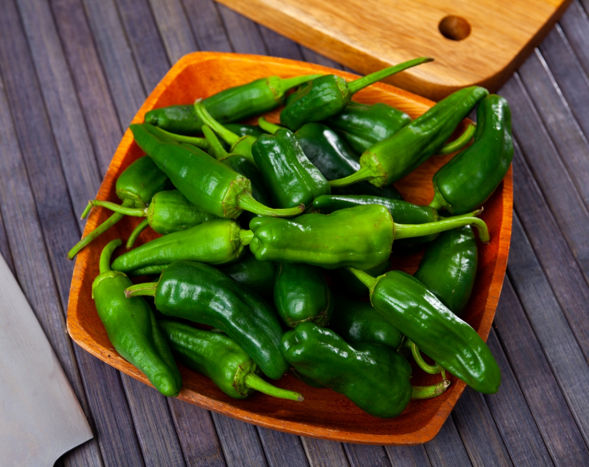types of peppers - green padron peppers in bowl