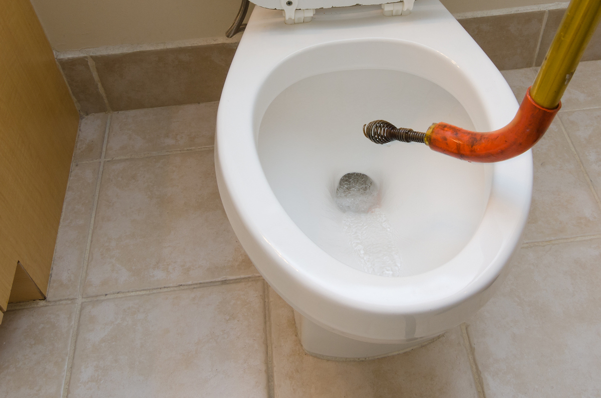 toilet gurgles - best advice for faqs