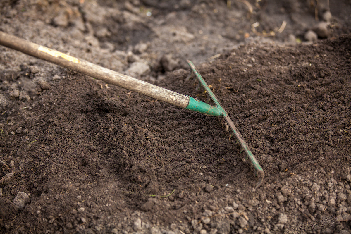 what is bone meal - raking the soil amendment into a garden