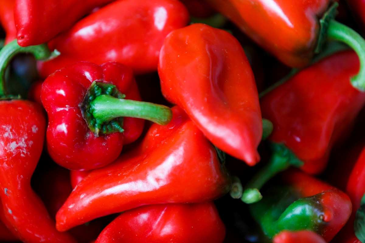 types of peppers - red piquillo peppers