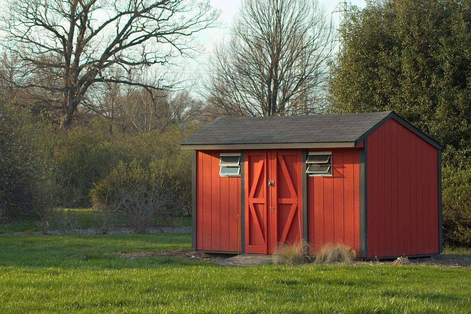 Shed Removal Cost