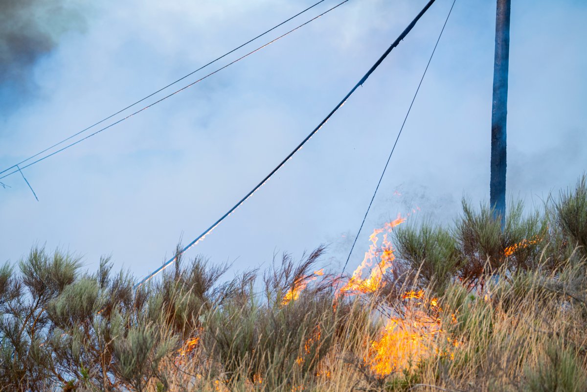 A dangerous wildfire burns uncontrollably through dry bushes next to utility poles