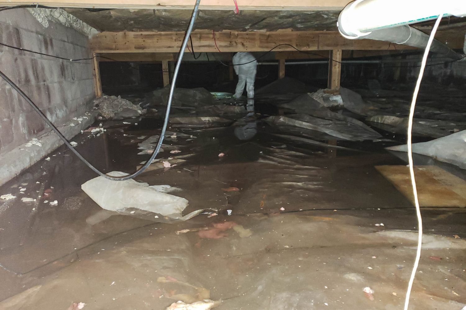 Crawl Space Cleaning Cost