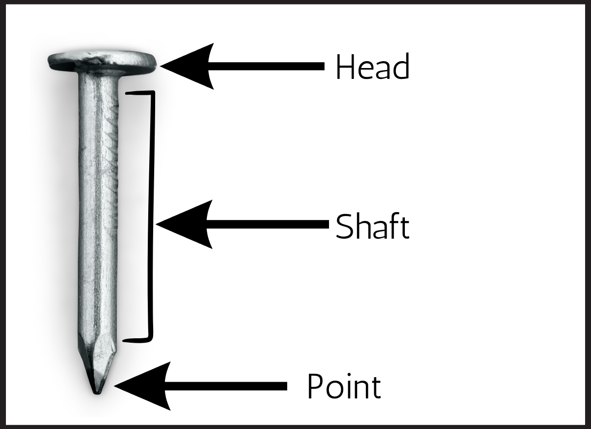 Getty types of nails parts of a nail labeled on a diagram