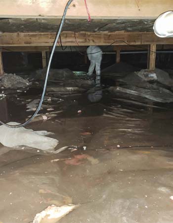Who to Call for Water in a Crawl Space