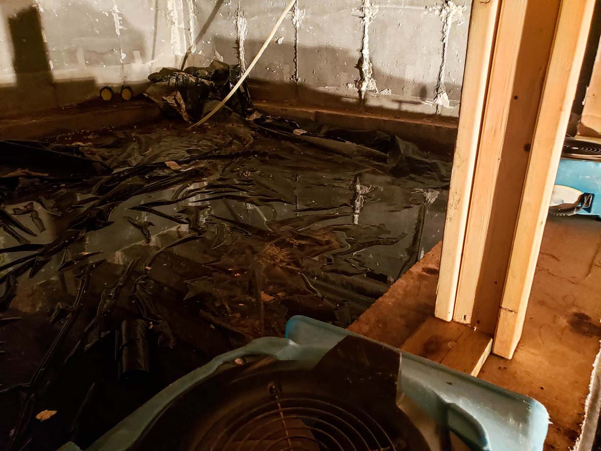 Who to Call for Water in a Crawl Space