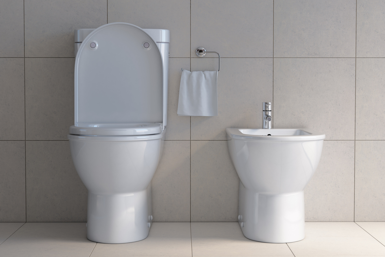 iStock-1138234444 real estate agents dont want Toilet bowl and bidet in the modern bathroom