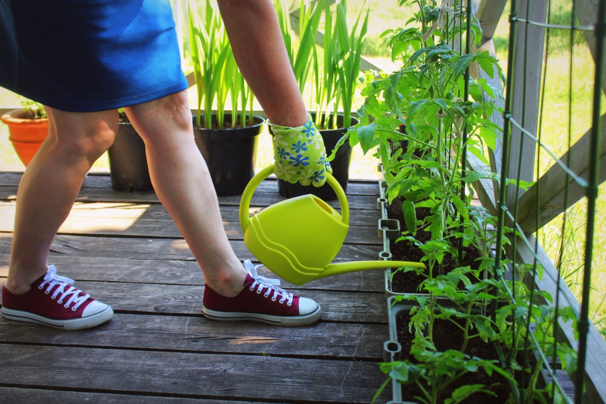 10 things every new gardener needs to know woman watering plants on deck