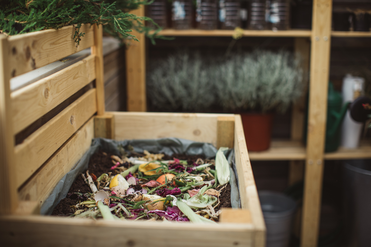 10 things every new gardener should know compost bin
