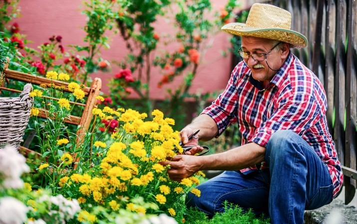 Gardening in Place: How to Grow a Bountiful Harvest When You Have Limited Mobility