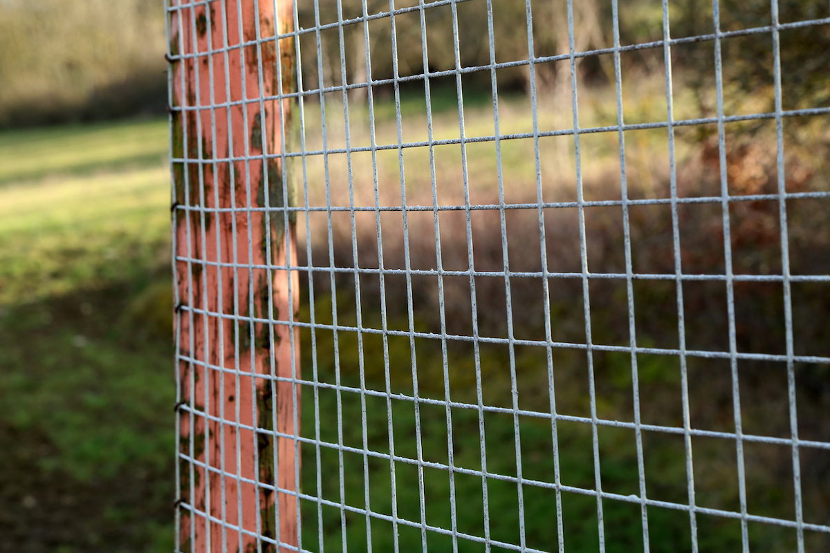 A hog wire fence is attached to a wooden pole on a rural property.