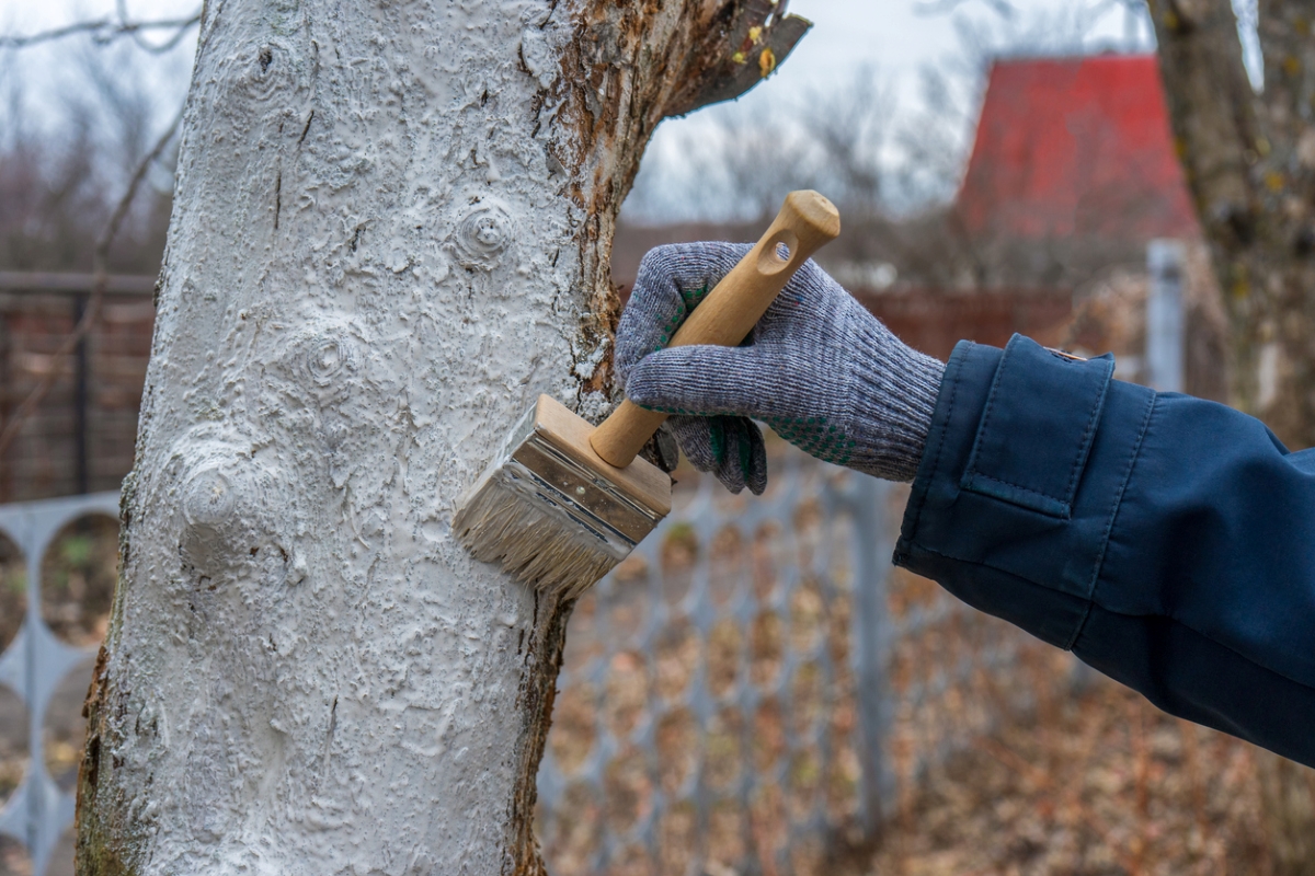 why paint trees white - hand painting tree white