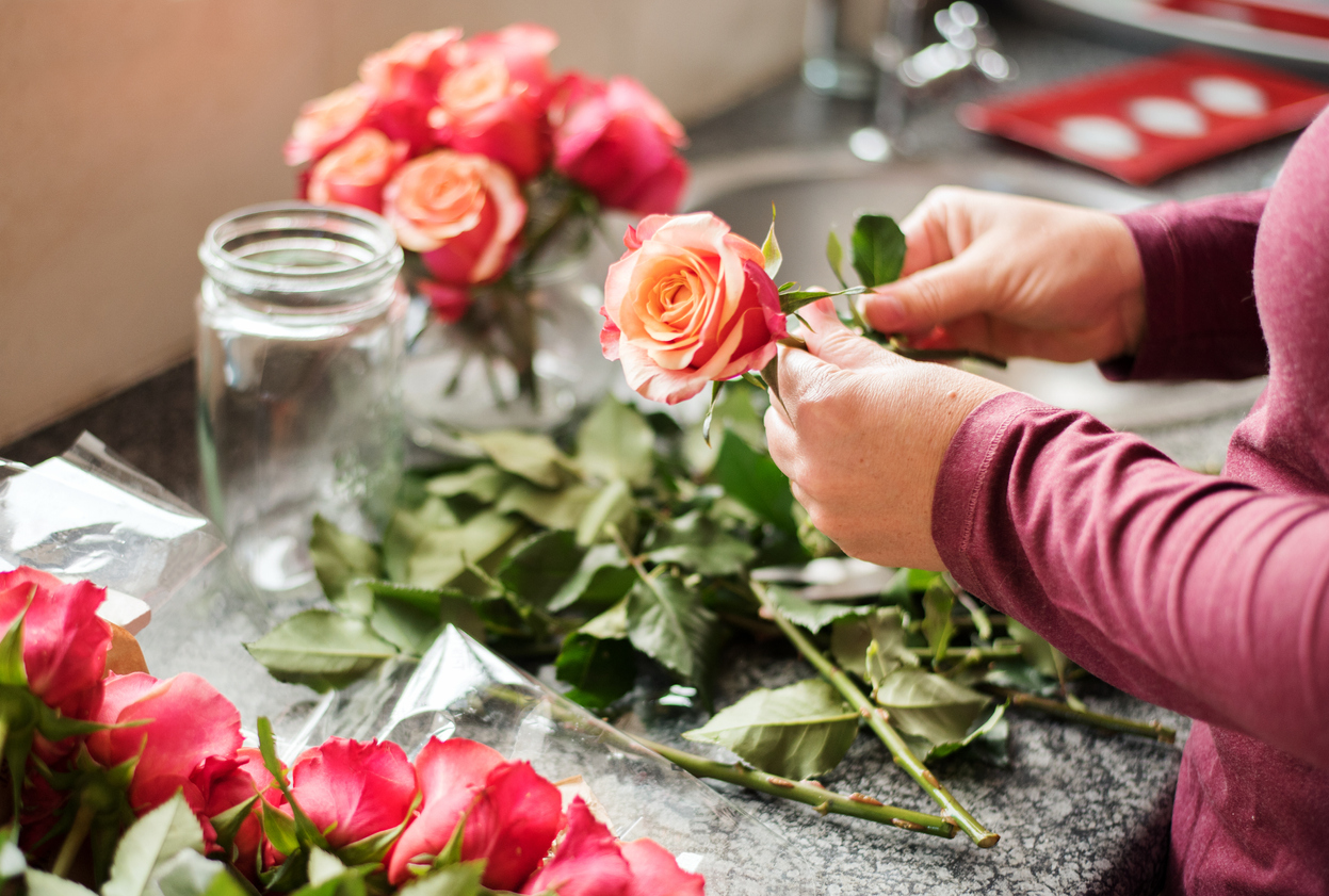iStock-1279760850 cut flower garden close up of woman preparing roses to put in a vase.jpg