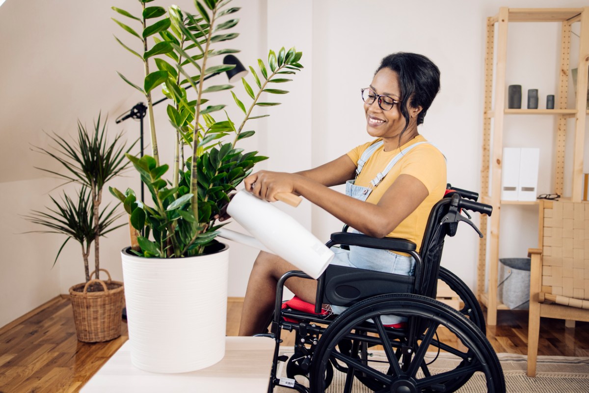 iStock-1338010280 toughest houseplants to keep alive African American woman in a wheelchair taking care of her houseplants