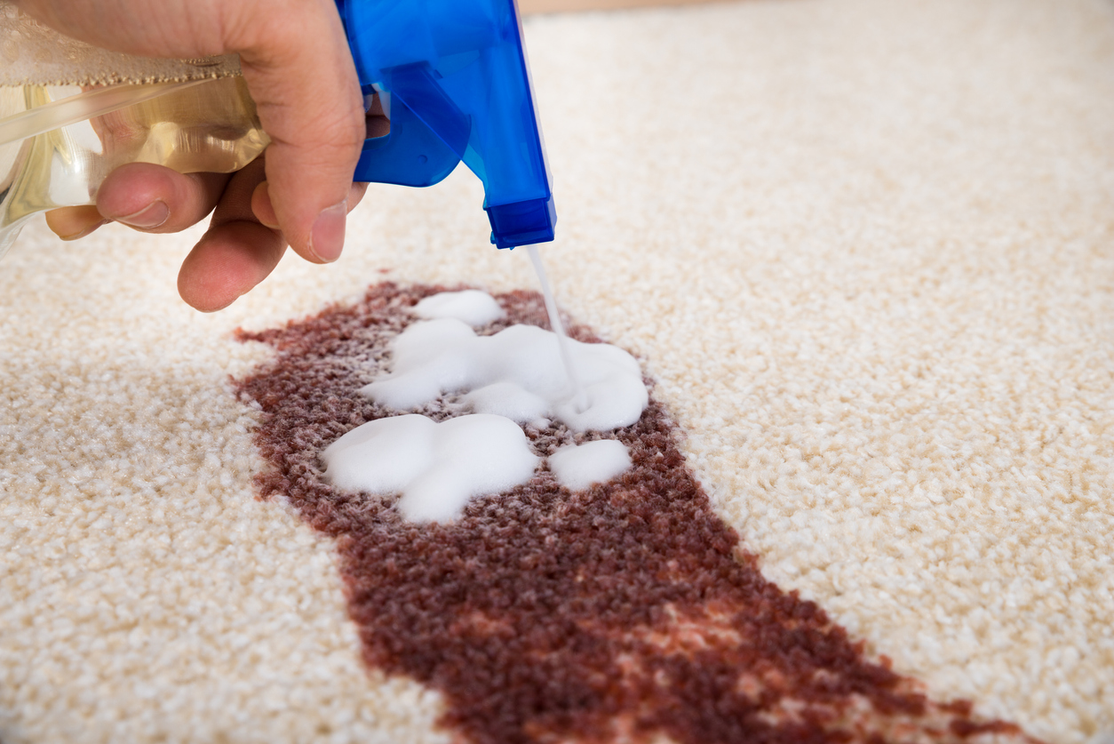 how to use oxiclean spraying cleaner onto wine stain on carpet