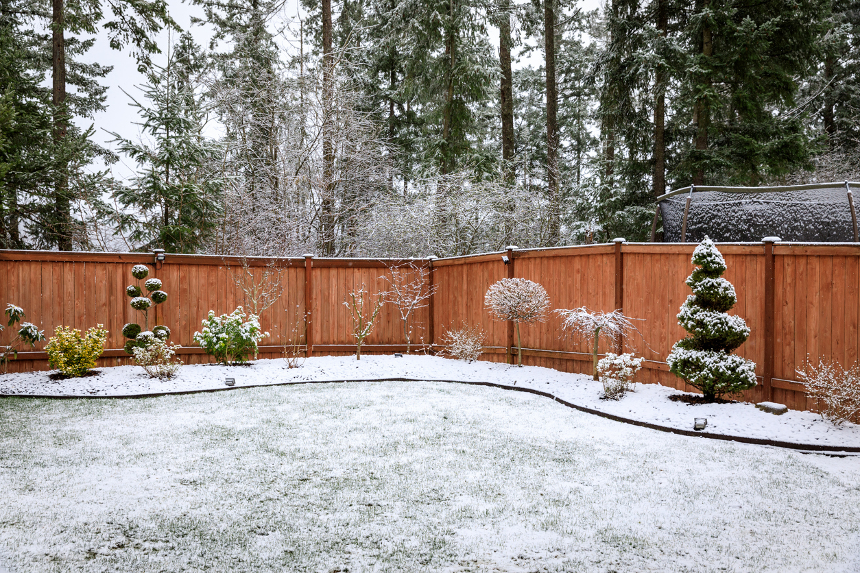 10 things every new gardener should know backyard covered in winter snow