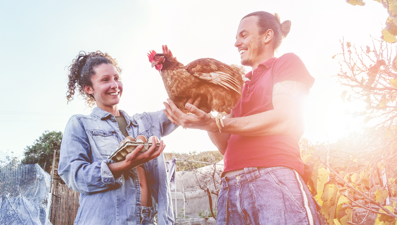 iStock-934337136 egg prices raising chickens man and woman talking about chickens man is holding chicken