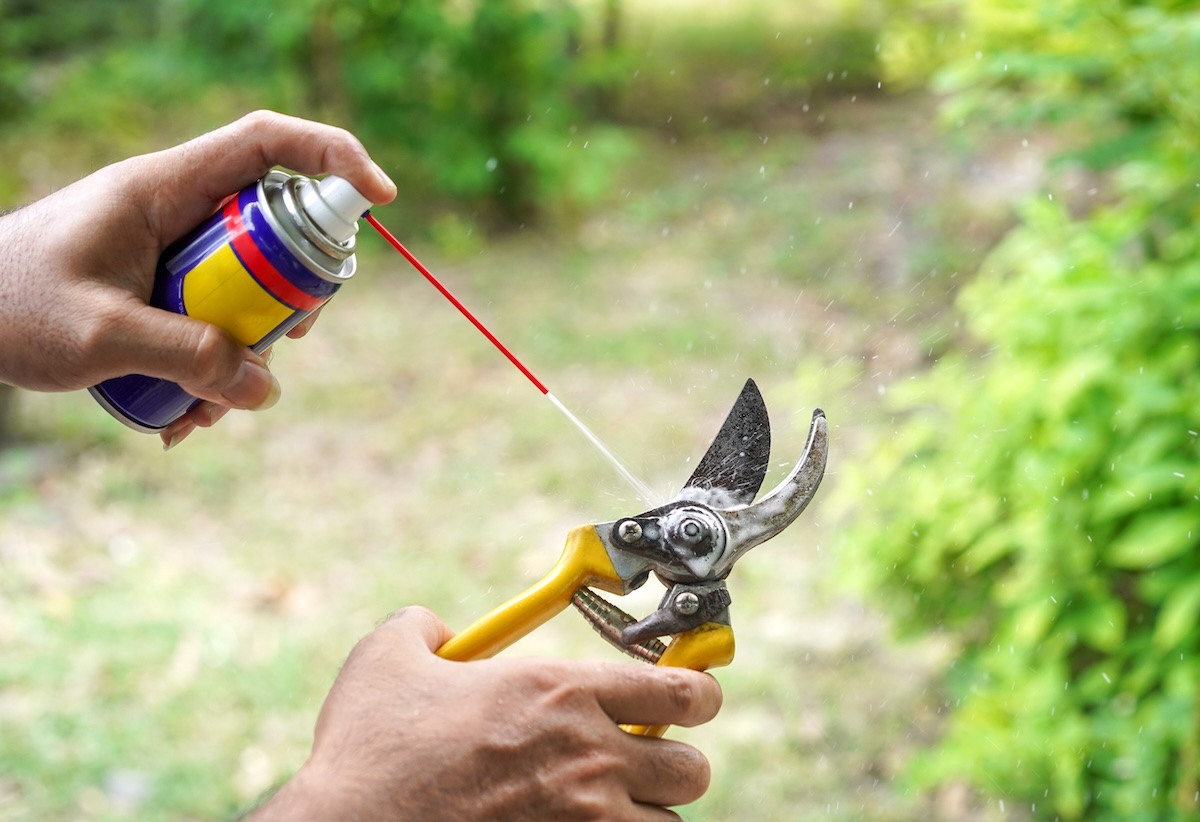 Man uses lubricating oil spray to maintain steel pruning shears.