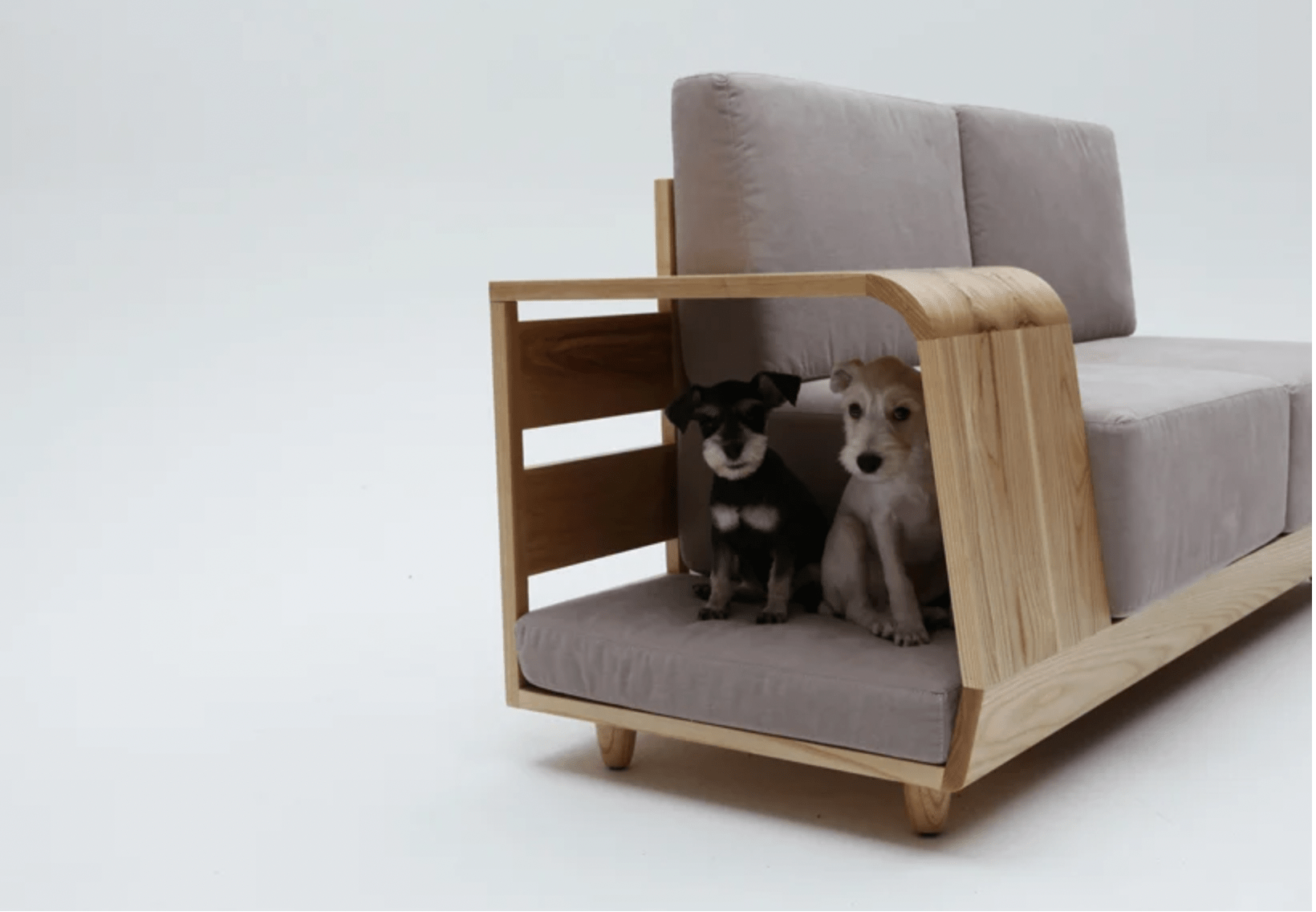 special pet furniture the dog house sofa by seungji mun