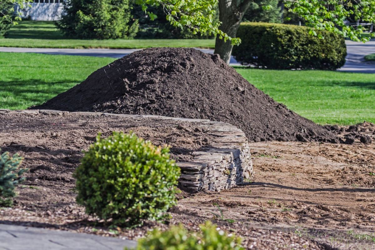A mound of topsoil sits on a green lawn.