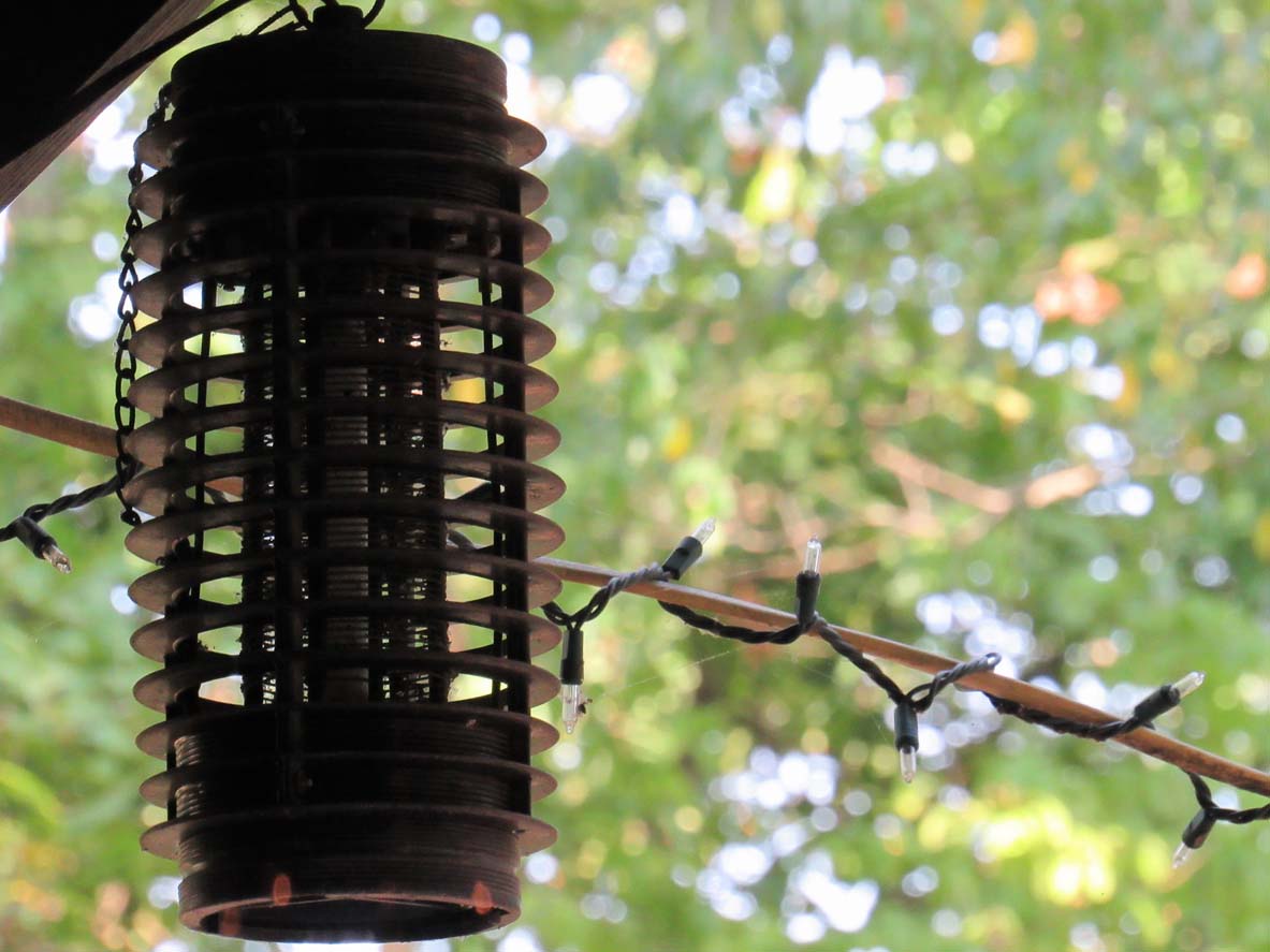 An electric bug zapper with an out-of-focus tree in the background.