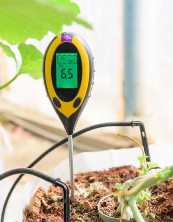 Image showcasing How to Lower Soil pH for a Thriving Lawn and Healthy Plants - Bob Vila