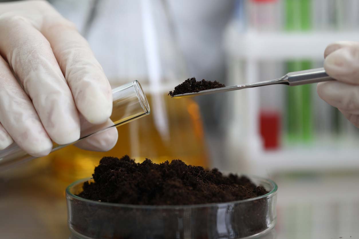 How to Lower Soil pH for a Thriving Lawn and Healthy Plants - Bob Vila