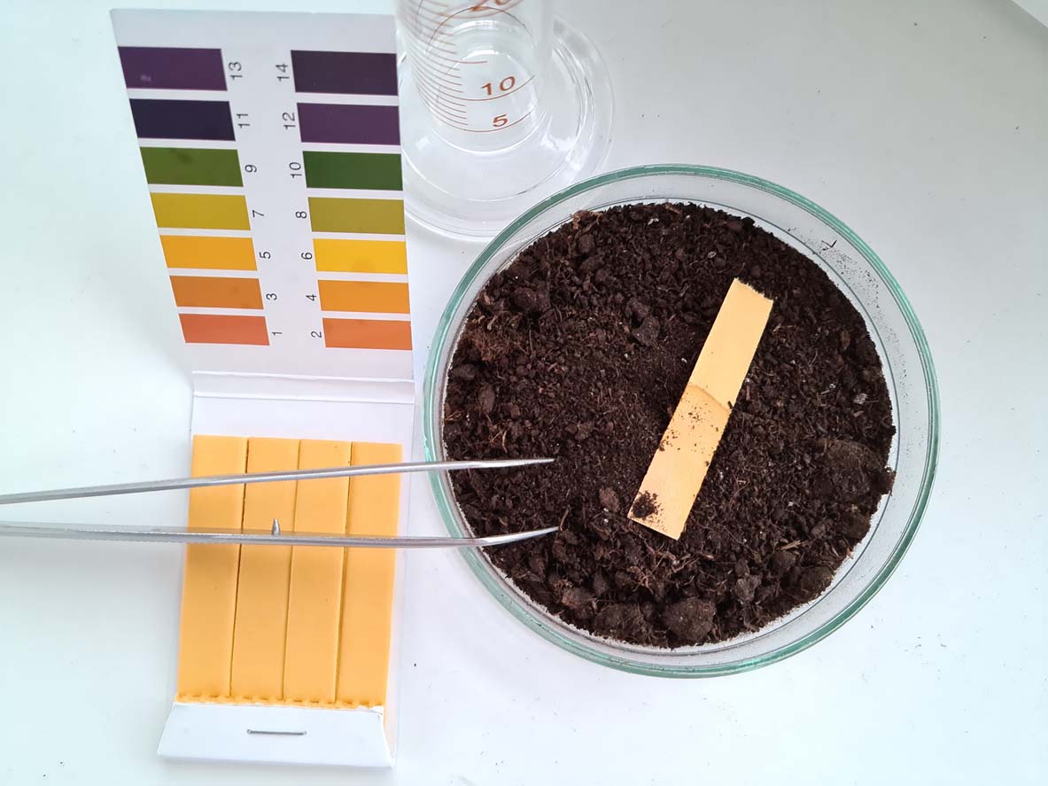 How to Lower Soil pH for a Thriving Lawn and Healthy Plants - Bob Vila