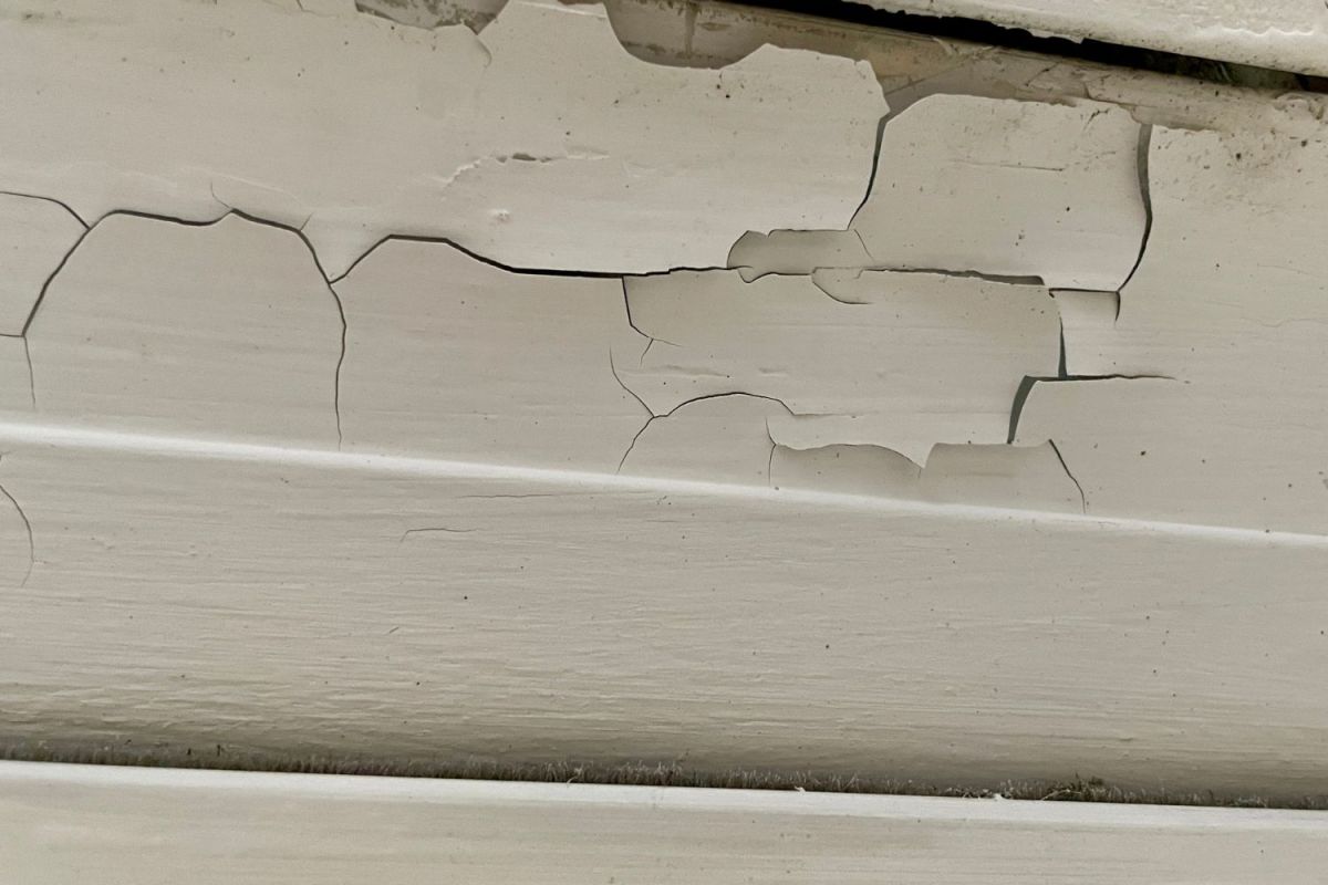 Lead Paint Removal Cost