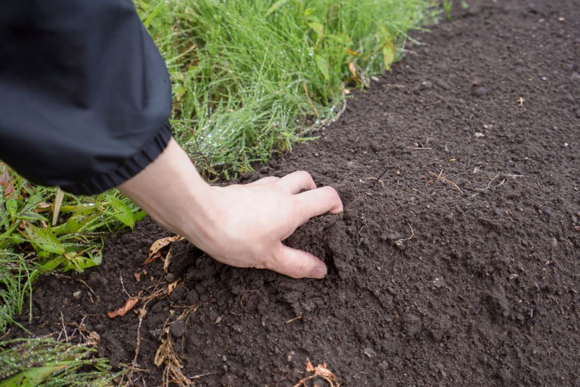 How Much Does a Perc Test Cost? A Budgeting Guide - Bob Vila