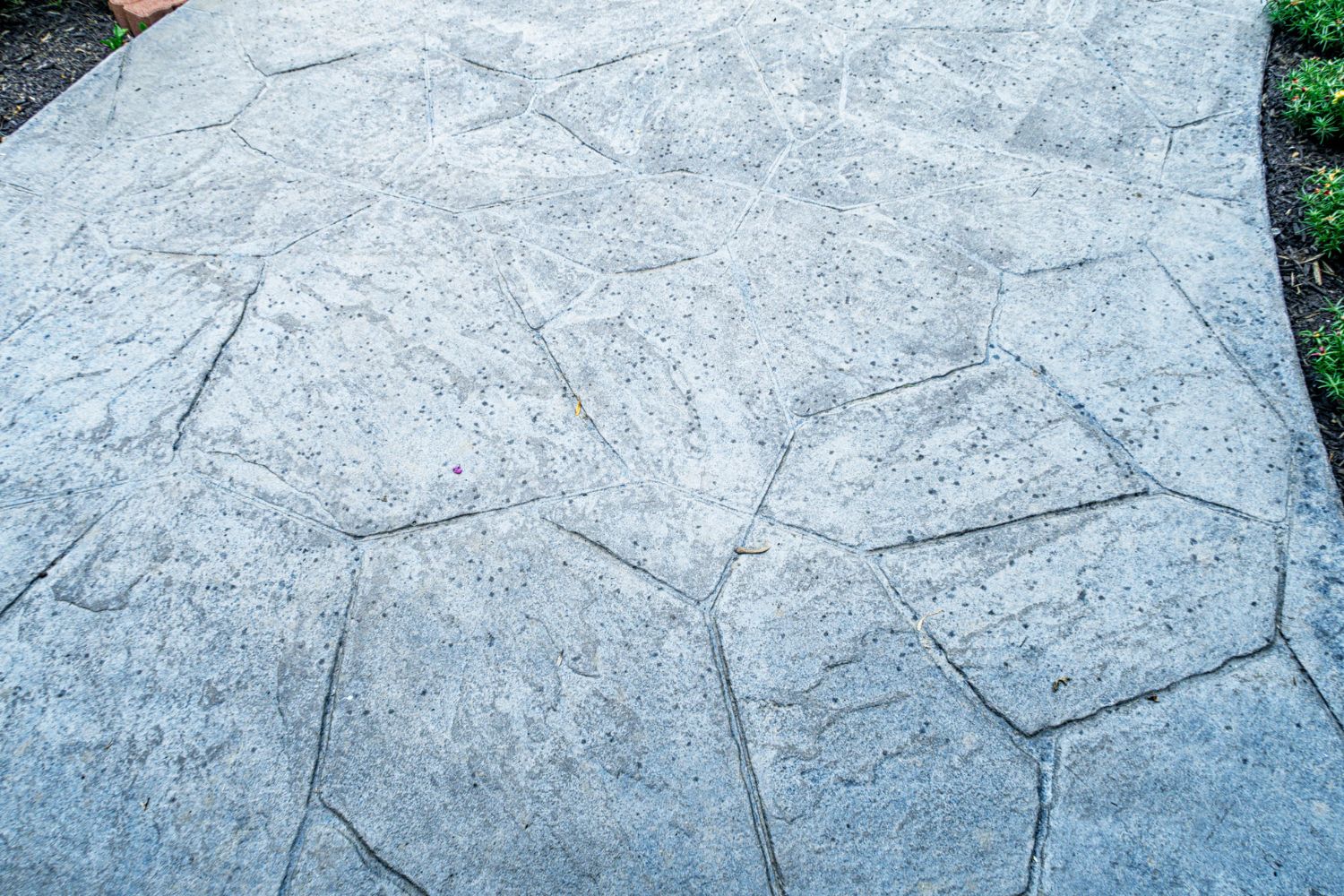 A close-up of a stamped concrete walkway.