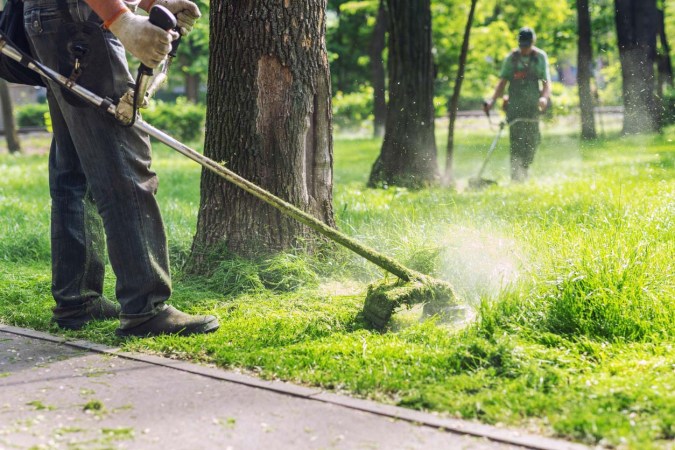 Sunday Drops Deals on Pro Lawn Aeration Services—But For Lawn Plan Members Only