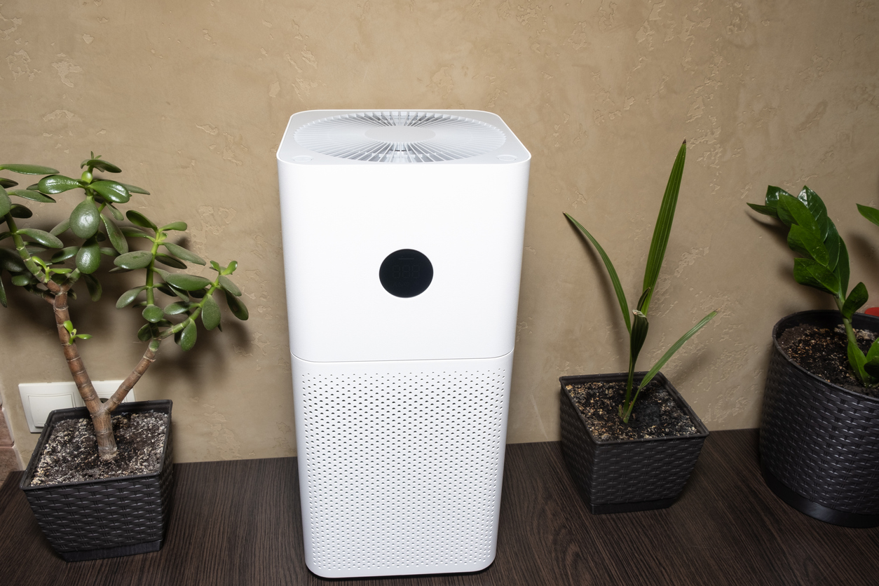 The Best Ionic Air Purifiers Options