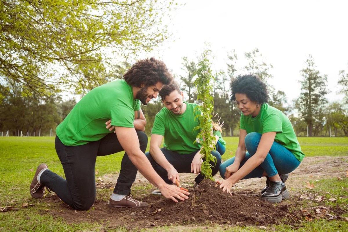 The Best Memorial Tree-Planting Services Options