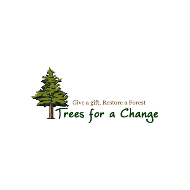  The Best Memorial Tree-Planting Services Option Trees for a Change