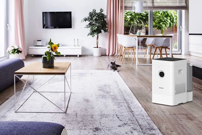 Breathe Easy With the Best Air Purifiers for Smoke, Tested