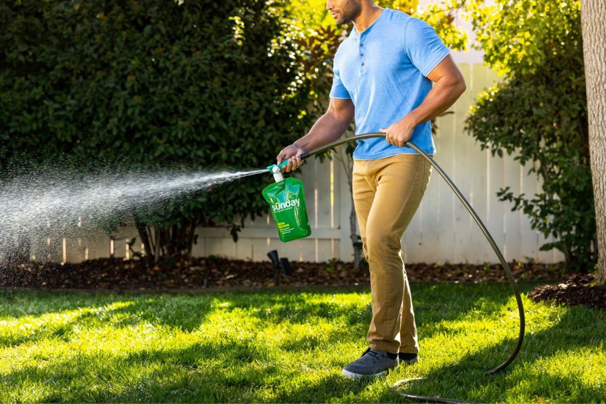 A person uses a Sunday product on a lush, green lawn.