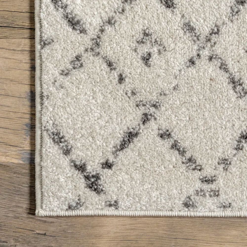 The Most Popular Things to Buy at Wayfair According to Shoppers: Giannini Geometric Moroccan Area Rug